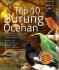 Top 10 Burung Ocehan